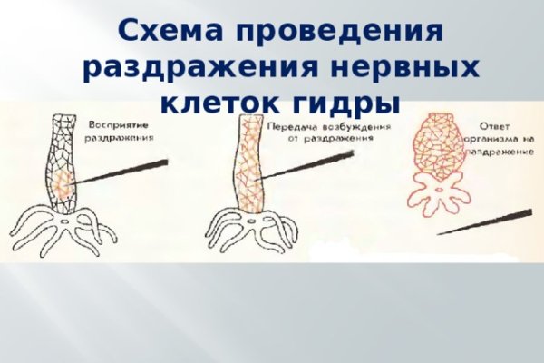 Как зайти на кракен с телефона андроид